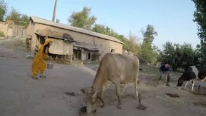 Бонуи хаматарафа бо иштироки Рухшона Каримова
