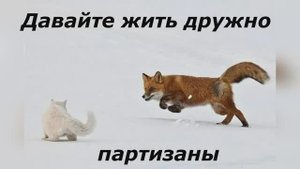 У нас на даче партизан.
