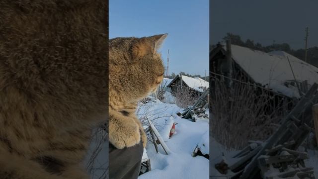 2024г.12.21
