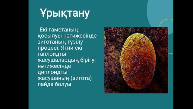 Ағзалардың көбеюі және өсуі,  6-сынып жаратылыстану