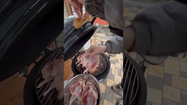 Перепела Откричались #shortsvideo #перепела #fishing #разведение #дендробена #рыбалка #новинка