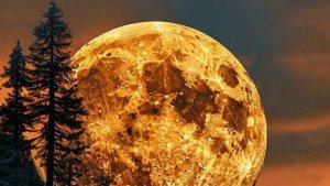 Расклад на ситуацию