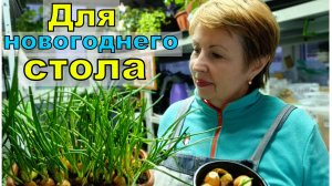 Есть много способов посадки лука на зелень зимой. Мой самый лучший