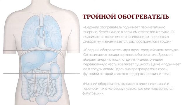 Тройной обогреватель. Настраиваем тепловые системы тела