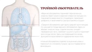 Тройной обогреватель. Настраиваем тепловые системы тела