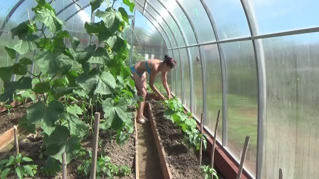 6 соток в начале лета. Хроника. 2019 год. смотреть онлайн