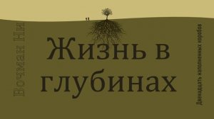 Жизнь в глубинах Вочман Ни