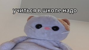 school