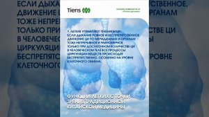 Функция легких. Ци - это энергия...