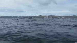 Баренцево море Мыс Летинский