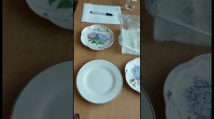 Как легко и быстро прорастить семена на рассаду