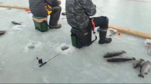 WhatsApp Video 2024-12-21 at 10.05.45