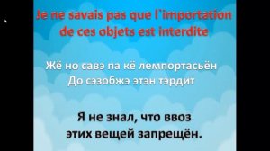 Французский язык.Урок 156 Таможня полезные фразы