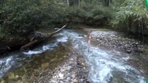 Рыбалка в Бурятии. Часть 9. Сказочная тайга. Хариус прыгает от боли.