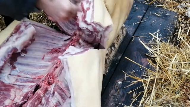 Забой кабанчика в домашних условиях, нож "Кречет" смотреть онлайн