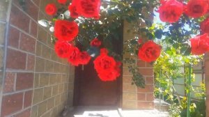 Продается дом в Крымске, до моря 40 км, Лучшее место для жизни