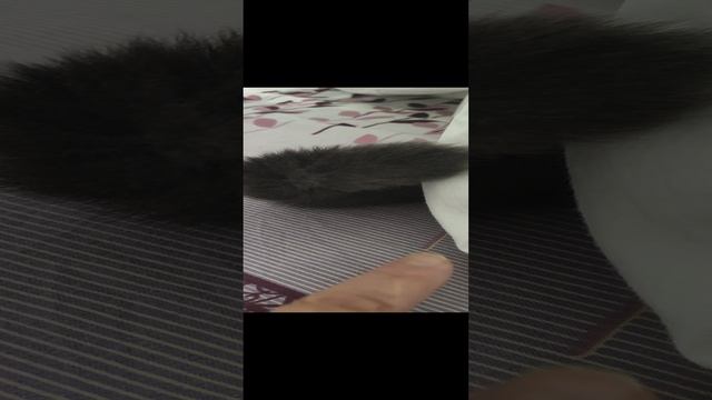 VID_20240916_162138