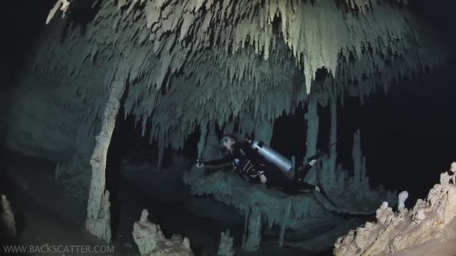 Cenotes Mexico