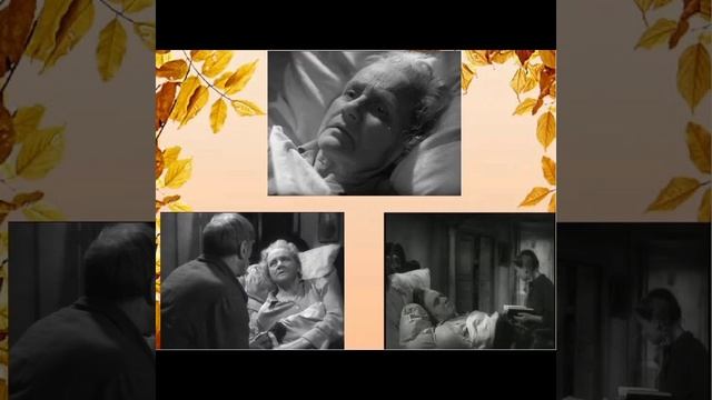 0 02 05 ed0568867f8a4bcfcf09bd7248542d0a90caac4d175a77d24d8faf561fe6f34f 4b3e070eea5c698d смотреть онлайн