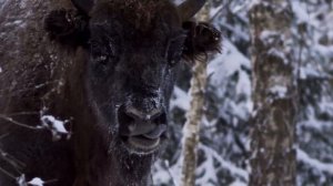 Национальный парк "Угра"