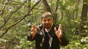Как защититься от дикого кабана в лесу