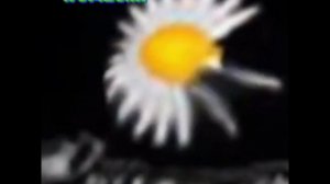 Preview 2 Телеканал Русская Ночь 2006-2018 Deepfake