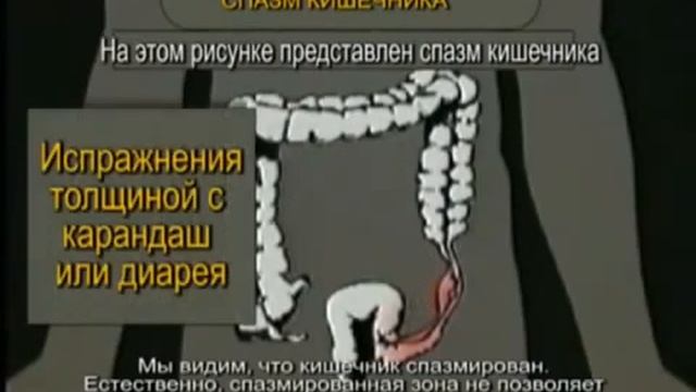 Очищение организма  5 выделительных систем