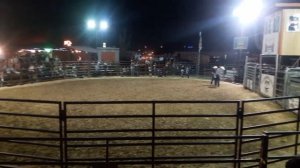 США, Аризона. Родео, езда на быках.