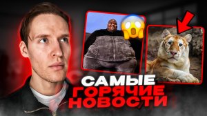 Чемпионат по МЫТЬЮ ОКОН...Самая "ОГРОМНЫЙ" рэпер в мире.