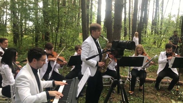 УДИВИТЕЛЬНО! СВАДЬБА В ЛЕСУ. IMPERIALIS ORCHESTRA (WEDDING TIME) смотреть онлайн