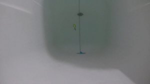 Rigge 90SP  BEARKING, и еще воблерочки!