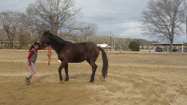 039 смотреть онлайн