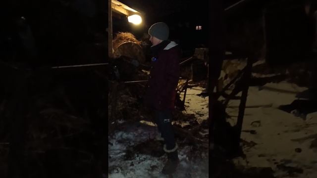 Работаем до поздна... ТГК - DanilaFermer #shorts #деревенскийжитель #блогер #молодой #фермер