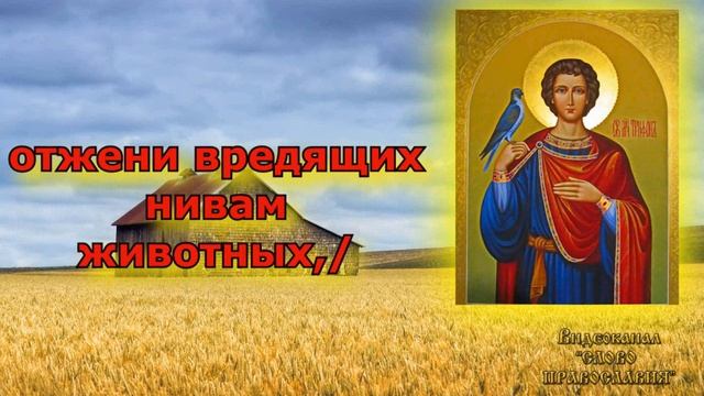 Тропарь святому мученику Трифону аудио молитва с текстом и иконами