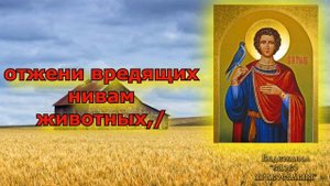 Тропарь святому мученику Трифону аудио молитва с текстом и иконами