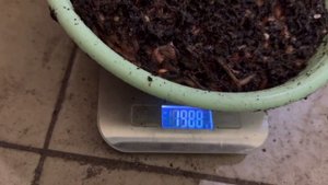 Новости Нашего Червятника Как Обстоят Дела Сезон Рыбалки Начинается