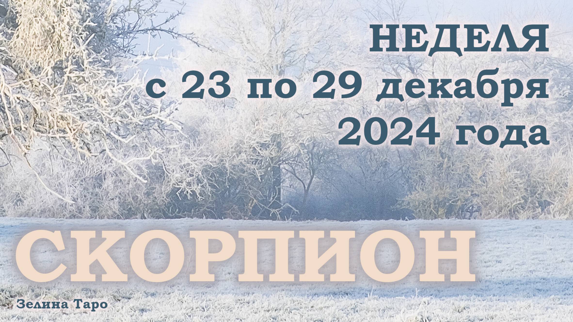 СКОРПИОН | Таро прогноз на неделю с 23 по 29 декабря 2024 года