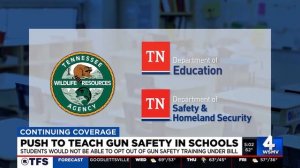 Push to teach gun safety in schools