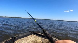 Когда хочется еще! Поймали толстую рыбу. Пелагический окунь на микроджиг