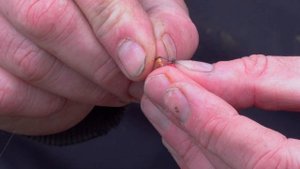 Варианты насадки опарыша на крючок