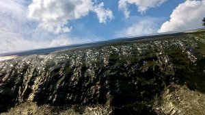 The last word of the silent river