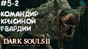 Dark Souls II: Scholar of the First Sin #5-2 ➤ Командир Крысиной Гвардии и Странствующий Маг