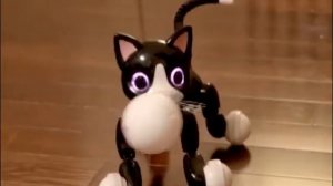 Zoomer Meowzies And Zoomer Kitty Collection - Interactive Robot Cat Toy