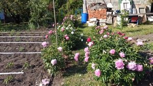 Вот и весна проходит.