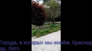 Города, в которых мы живём. Краснодар. Лето