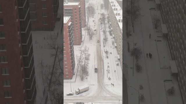 Снегопад в Петербурге