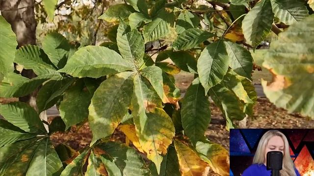 Свекровь не скрывала радости на прощании с невесткой. Но увидев её точную копию, оцепенела... смотреть онлайн