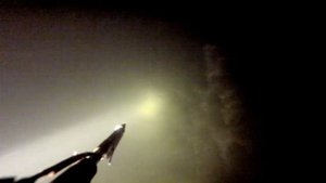 Первая подводная охота с GoPro