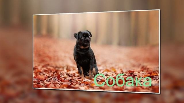 блогерство 1