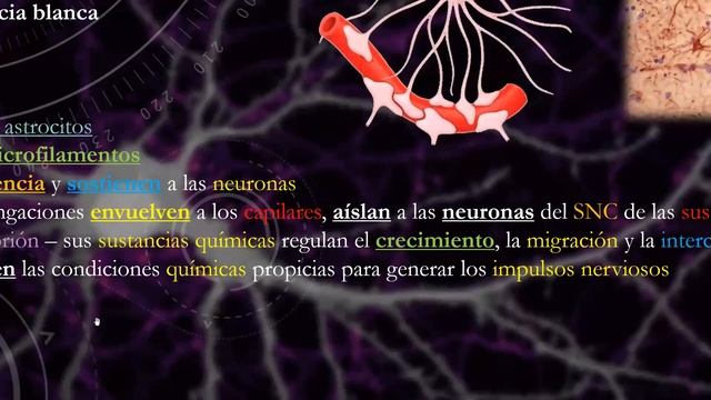 Capitulo 12 - morfo - parte 2 смотреть онлайн